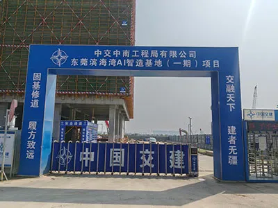 Tower Cranes & Construction Hoists Used in Industrial Plant Construction Project